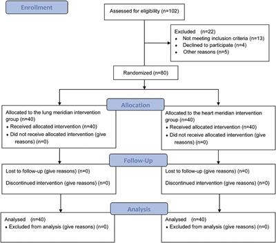 The Moxibustion-Induced Thermal Transport Effect Between the Heart and Lung Meridians With Infrared Thermography